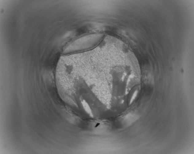 X0000074030523200609111717