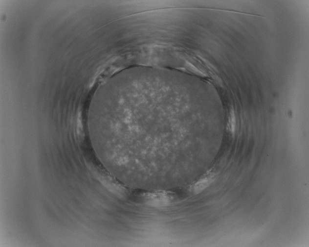 X0000074030524200609111717