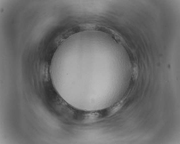 X0000074030525200609111717