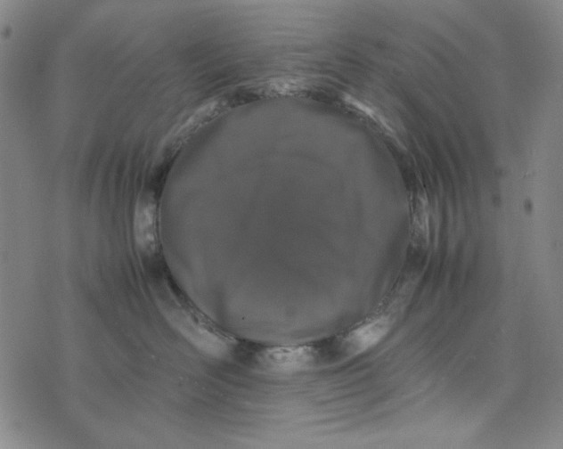 X0000074030526200609111717