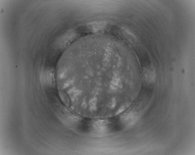 X0000074030527200609111717