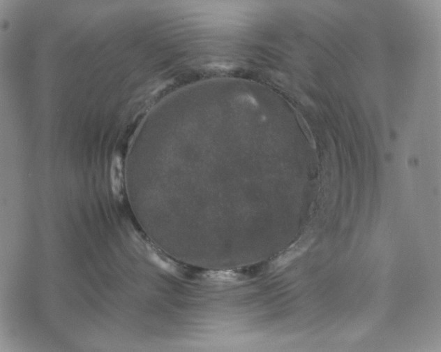 X0000074030528200609111717