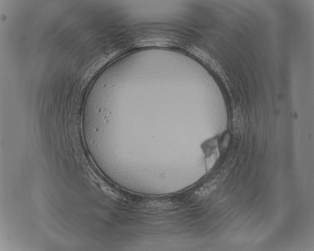 X0000074030529200609111716