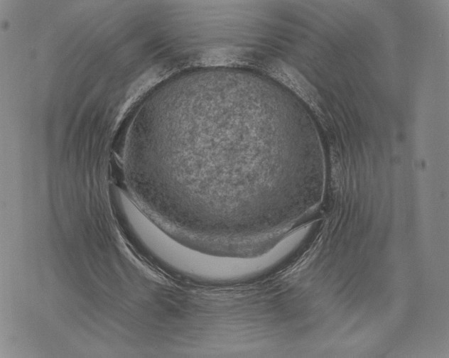 X0000074030530200609111716