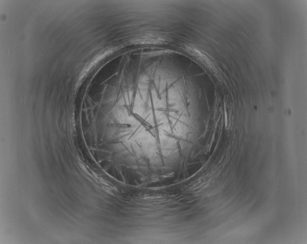 X0000074030531200609111716