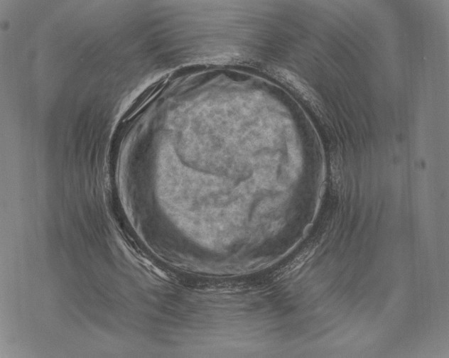 X0000074030532200609111716