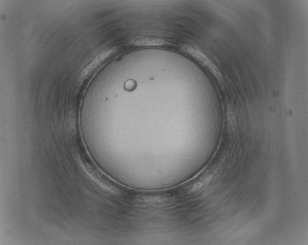 X0000074030533200609111716