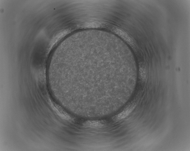 X0000074030534200609111716