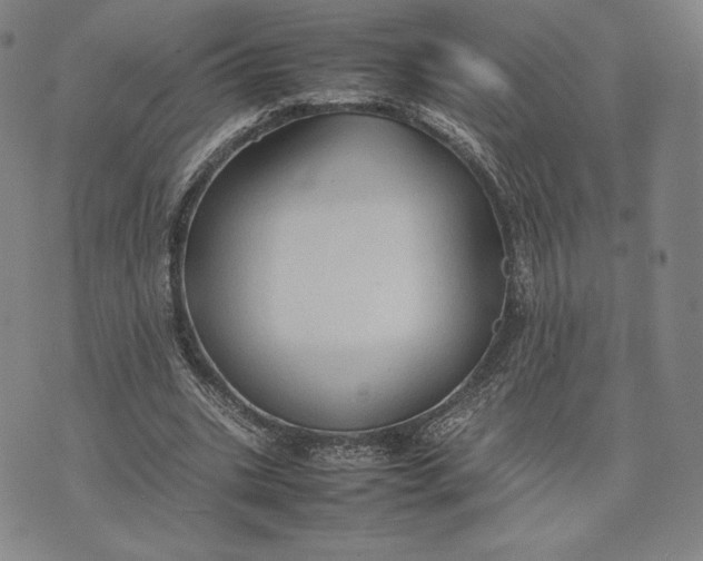 X0000074030535200609111716