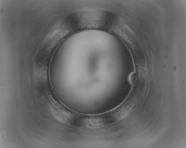 X0000074030537200609111716