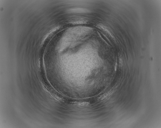 X0000074030539200609111716