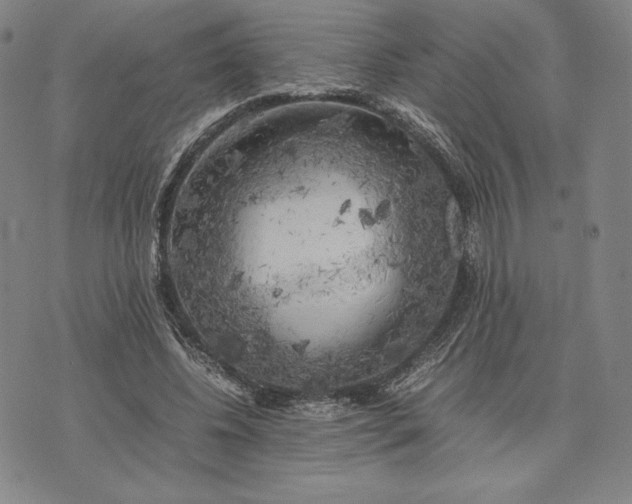 X0000074030540200609111716