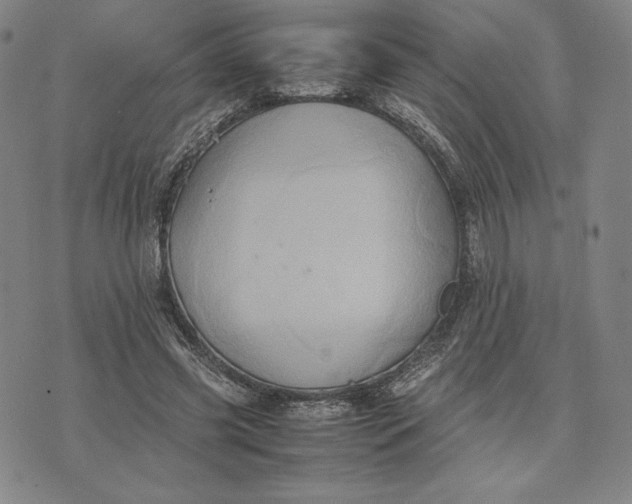 X0000074030541200609111716