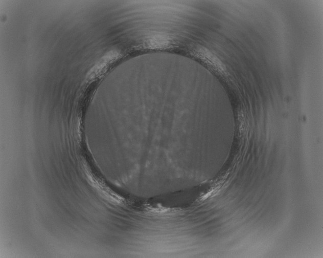 X0000074030542200609111716