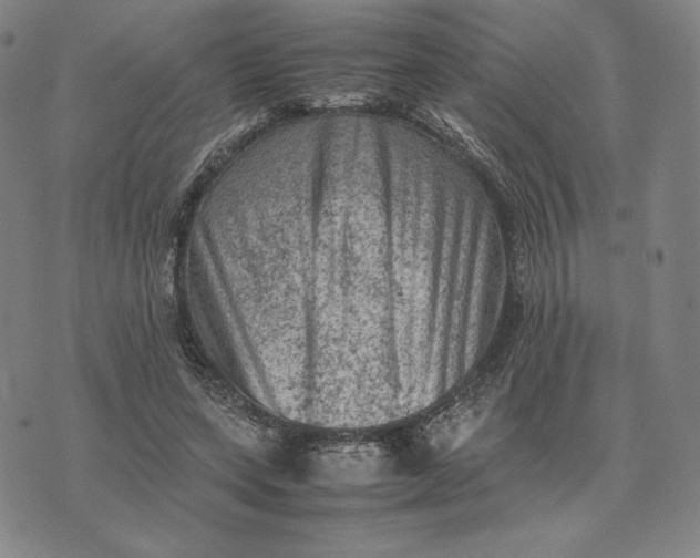 X0000074030543200609111716