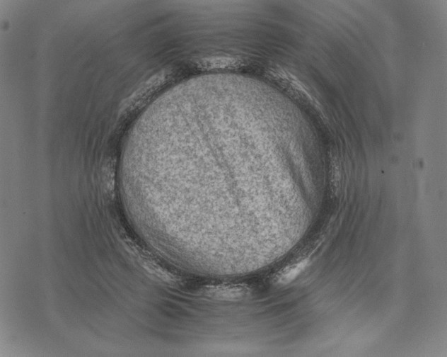 X0000074030545200609111716