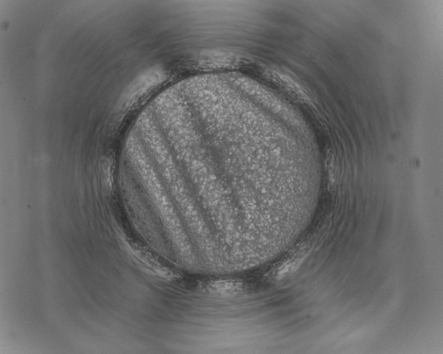 X0000074030546200609111716