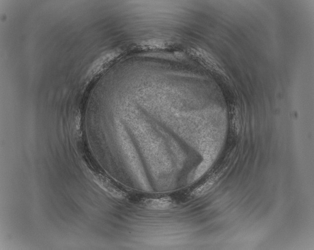 X0000074030548200609111716