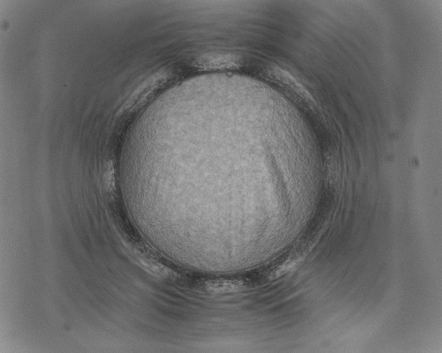 X0000074030549200609111716