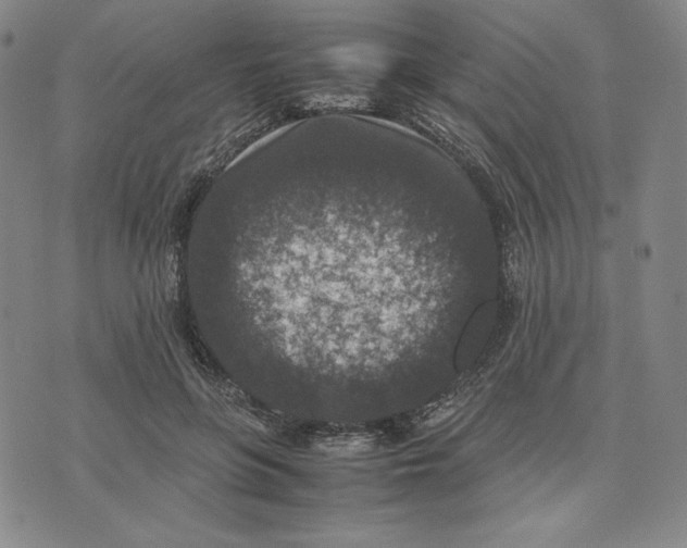 X0000074030551200609111716