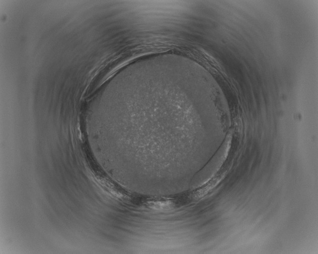 X0000074030552200609111716