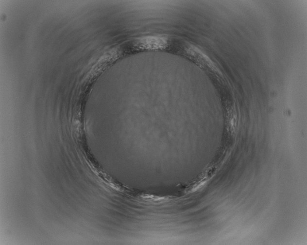 X0000074030553200609111716