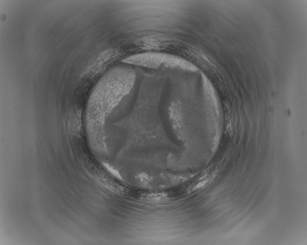 X0000074030554200609111716