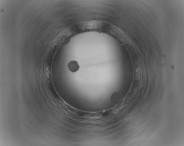 X0000074030555200609111717