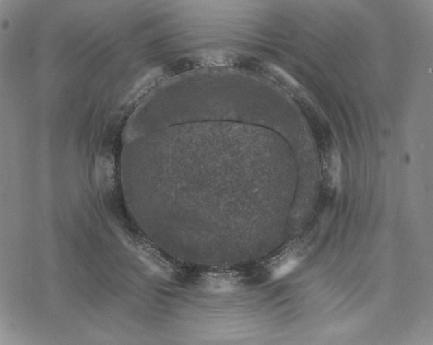 X0000074030556200609111717