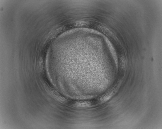 X0000074030557200609111717