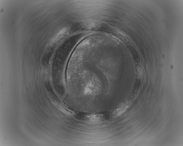 X0000074030558200609111717