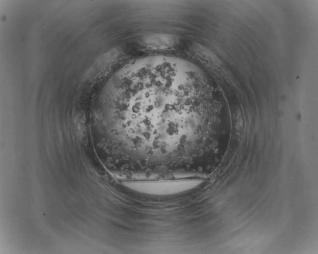 X0000074030559200609111717