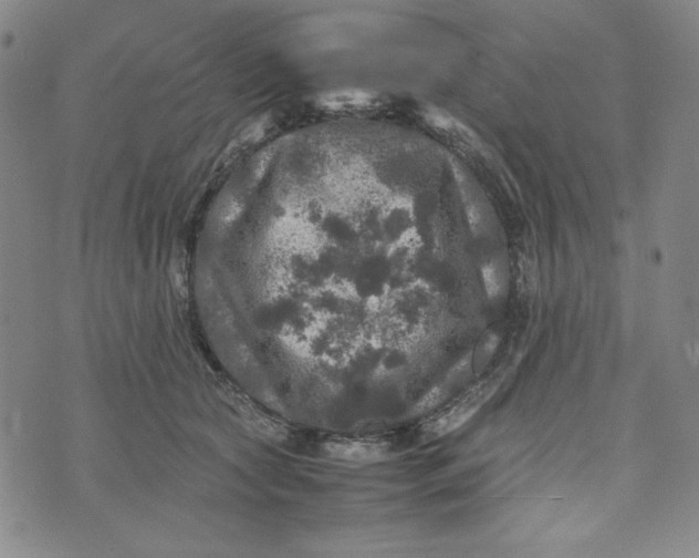 X0000074030561200609111717