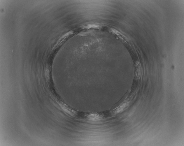 X0000074030562200609111717