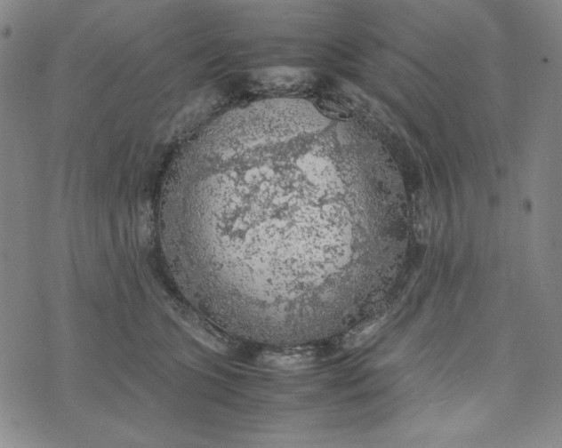 X0000074030563200609111717