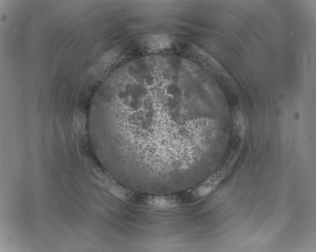 X0000074030565200609111717