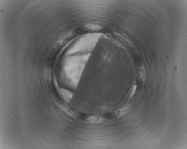 X0000074030568200609111717