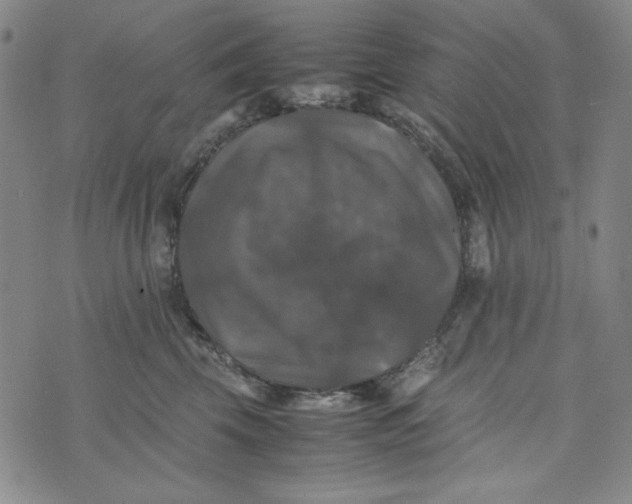 X0000074030569200609111717