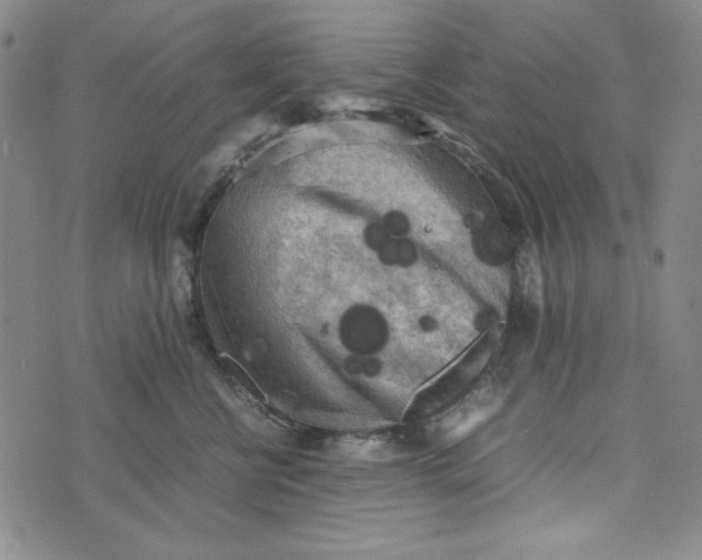 X0000074030570200609111717