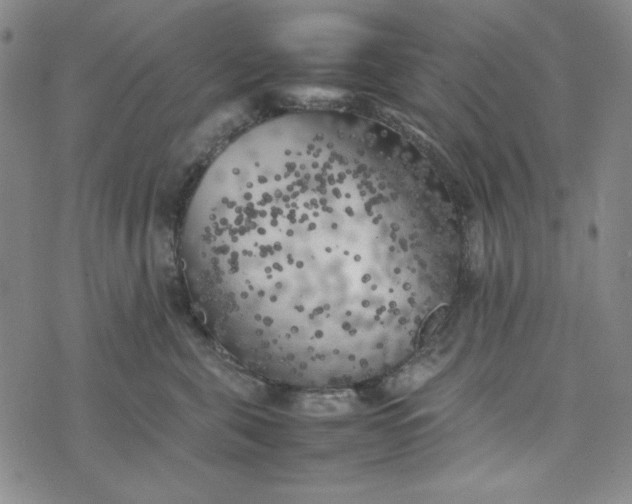 X0000074030571200609111717