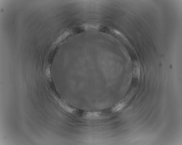 X0000074030573200609111717