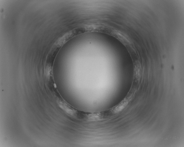 X0000074030574200609111717