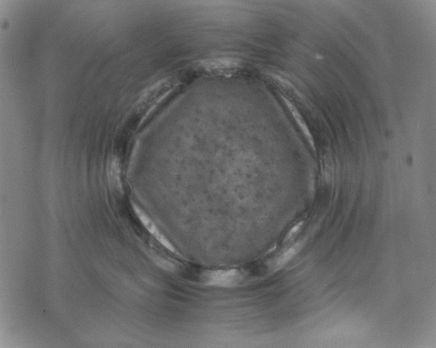 X0000074030575200609111717