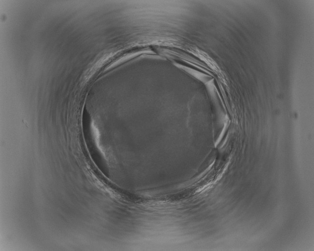 X0000074030577200609111716