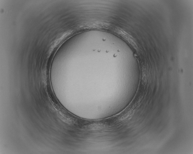 X0000074030578200609111716