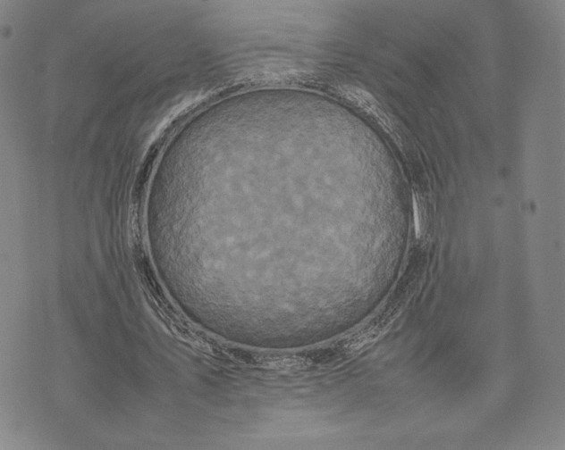 X0000074030579200609111716