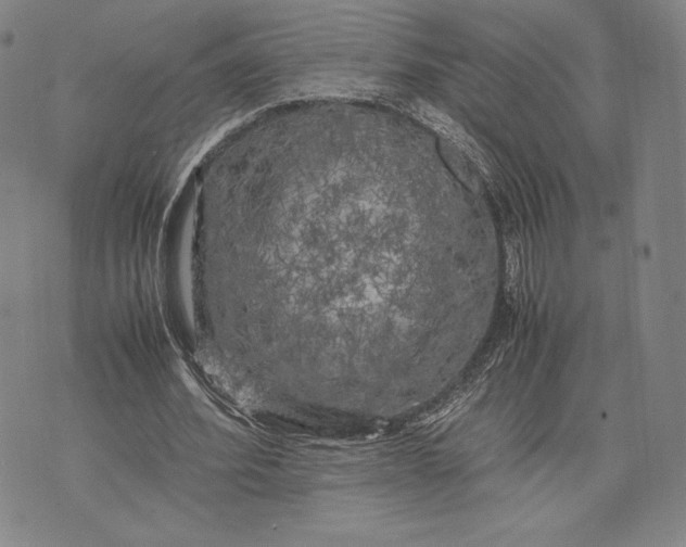 X0000074030580200609111716