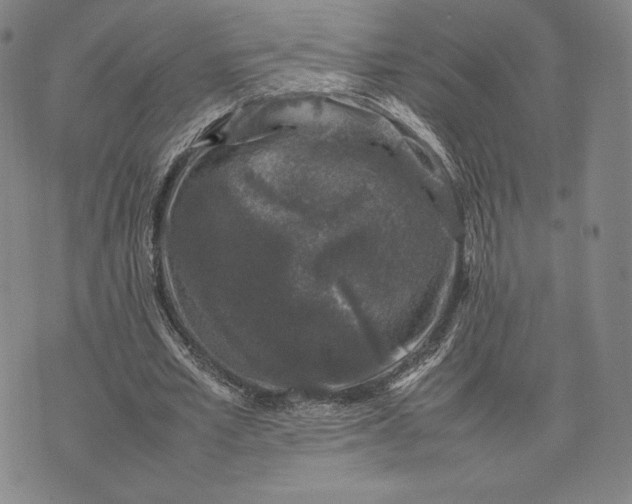 X0000074030581200609111716