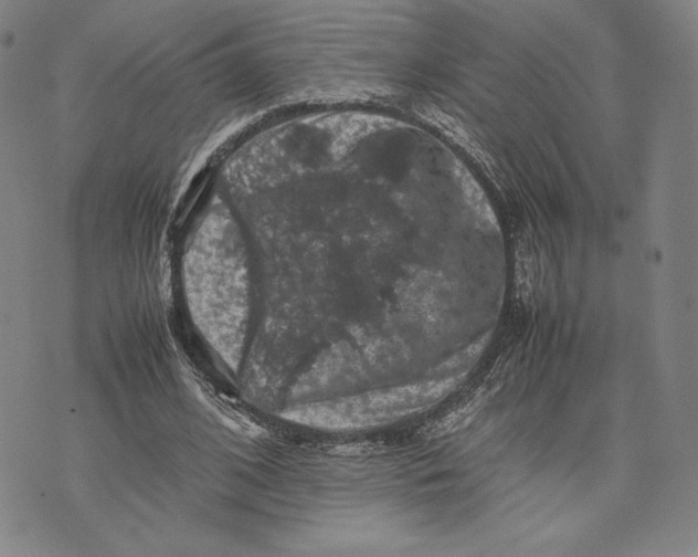 X0000074030584200609111716