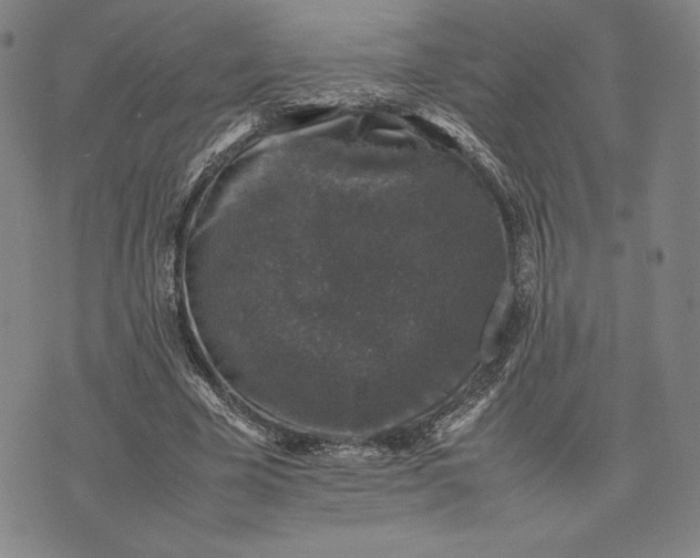 X0000074030585200609111716